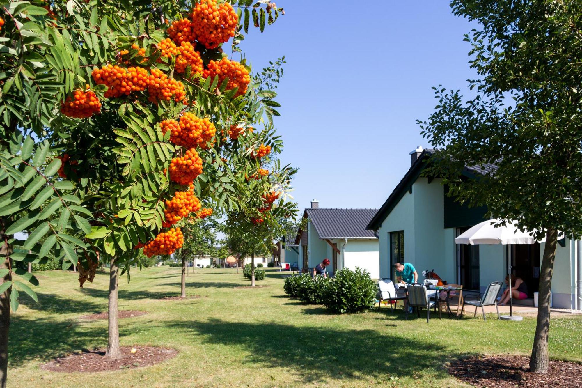 Seepark Auenhain Markkleeberg Bilik gambar
